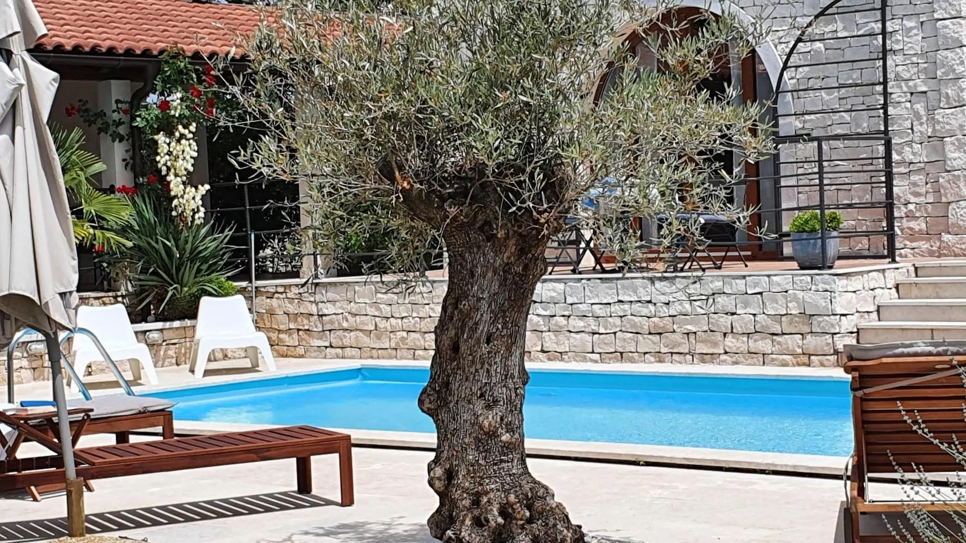 Charmante Villa Histra Mit Pool Und Grossem Garten Cabrunici Casa vacanze